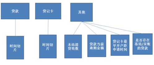 二代征信衍生變量與CSDN數(shù)據(jù)處理服務(wù)