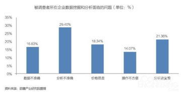 中國大數(shù)據(jù)產(chǎn)業(yè)發(fā)展前景與投資規(guī)劃分析——聚焦數(shù)據(jù)處理服務(wù)
