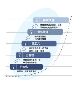 IBM數(shù)據(jù)治理成熟度評估模型 驅(qū)動企業(yè)數(shù)據(jù)價值實現(xiàn)的關(guān)鍵框架